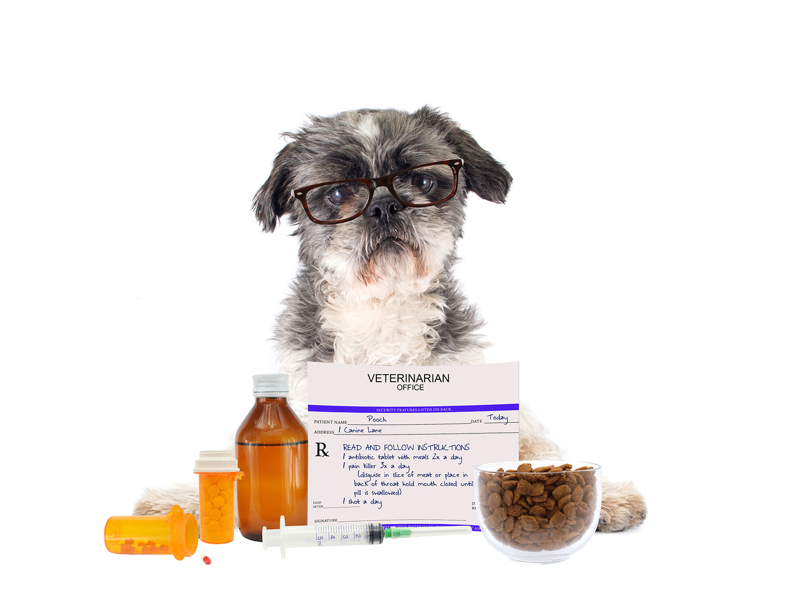 Pet Prescription Medications - 4 Paws Vet